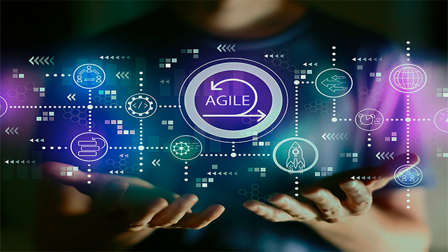 Roles in Agile Project